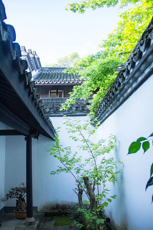 紹興遛娃|與山水相逢 住美了千年的古風小鎮