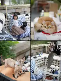 上海出發1h五一反向逛良人市玩到不想走
