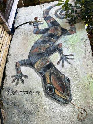 🐝 Panglao Island Bee Farm | A slow-paced paradise with sea views, delicious food, and fun things to do