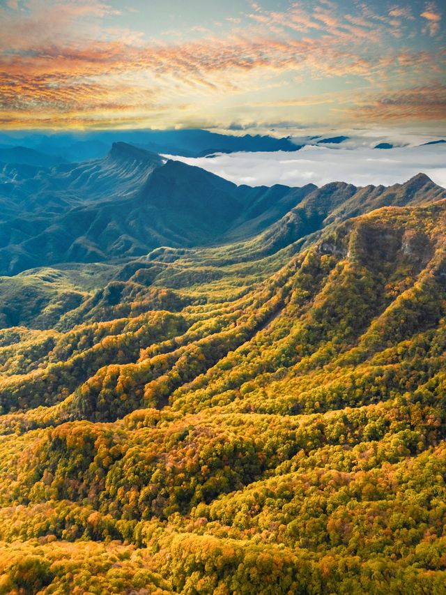 被《國家地理》評為中國最美紅葉秘境，有多絕