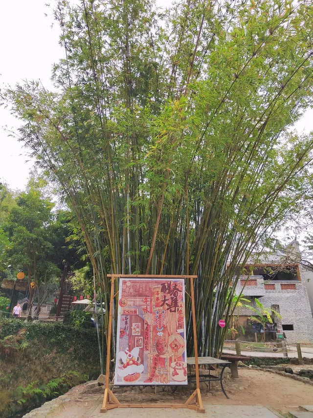 不看海的海陵島還能逛下安靜的村落