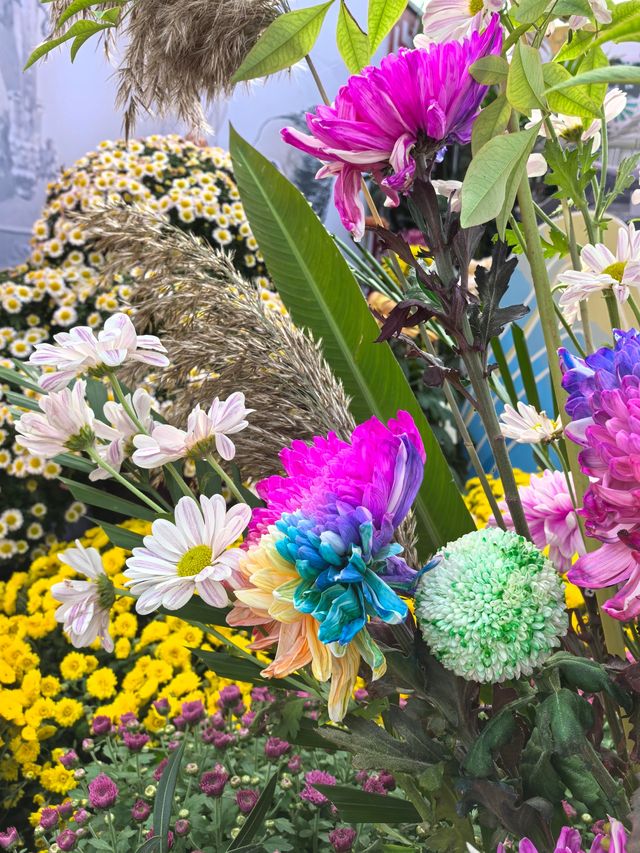開封賞菊攻略2025年絕美菊花盛宴速來打卡！