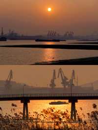 守著身邊景，便是好時光！