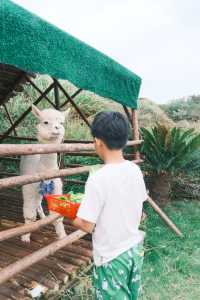 夏天結束前|一定要去一趟平潭！