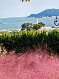 在粉紅疊翠中遠眺劉公島