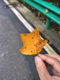 霧隱嵐山火燭幽