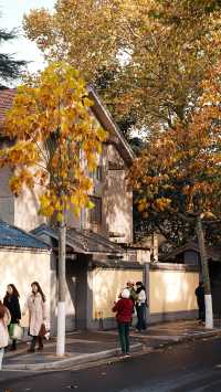 頤和路：一步一景，走入民國舊夢