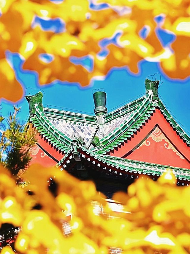 十三陵賞秋避人攻略 十三陵賞秋避人攻略