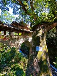 泰順毓文橋在浙南山水間邂逅清代廊橋遺夢