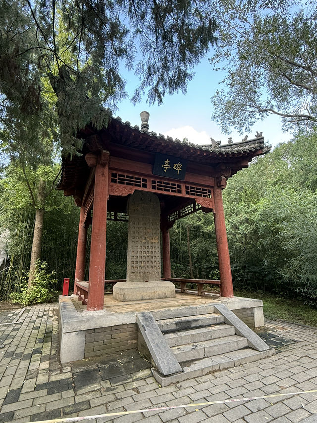 鄭州 / 嵩陽書院