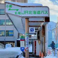 ❄️홋카이도의 눈, 하늘에서 내린 솜사탕