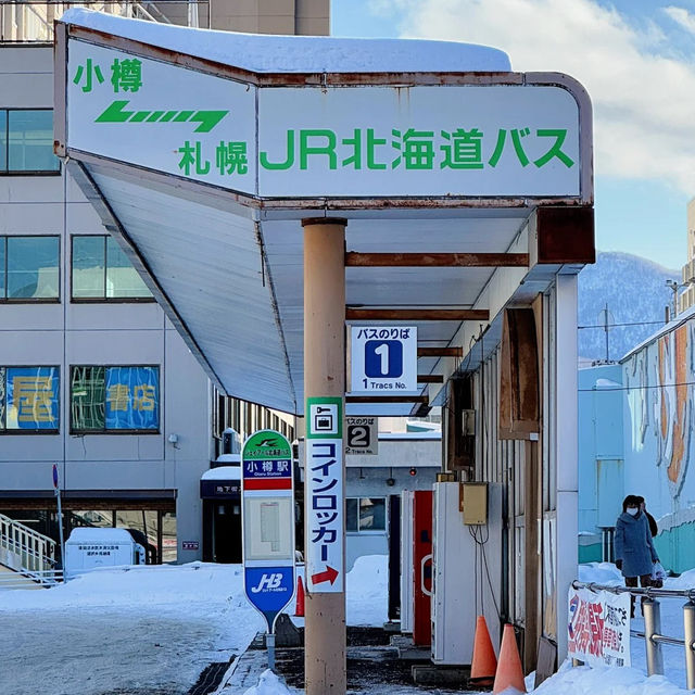 ❄️홋카이도의 눈, 하늘에서 내린 솜사탕