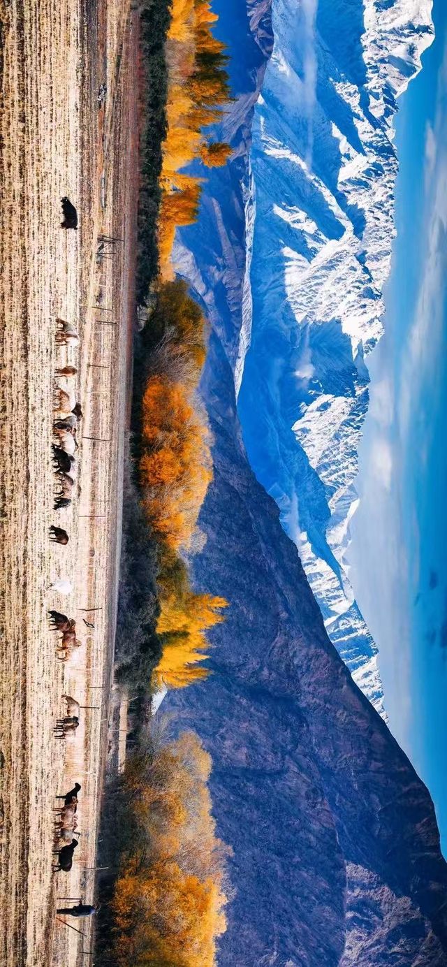 帕米爾高原秘境之旅世界屋脊的終極打開方式 帕米爾高原秘境之旅世界屋脊的終極打開方式