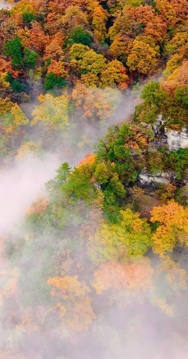 漢中龍頭山一日遊四川周邊遊秋天必去打卡地 漢中龍頭山一日遊四川周邊遊秋天必去打卡地