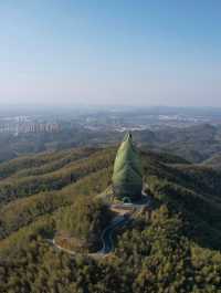 桃花江竹海遊玩攻略：竹知道，你該來浪了！