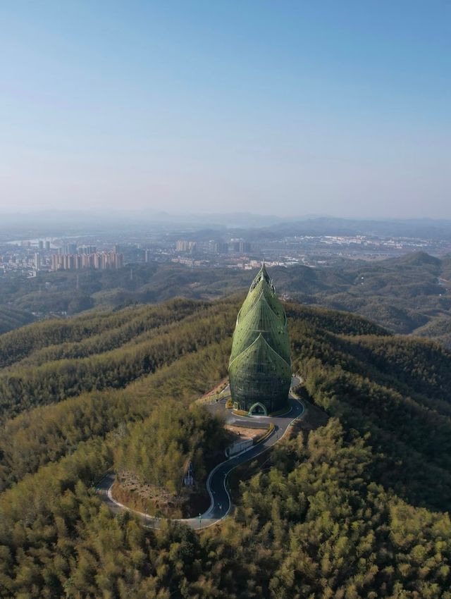 桃花江竹海遊玩攻略：竹知道，你該來浪了！