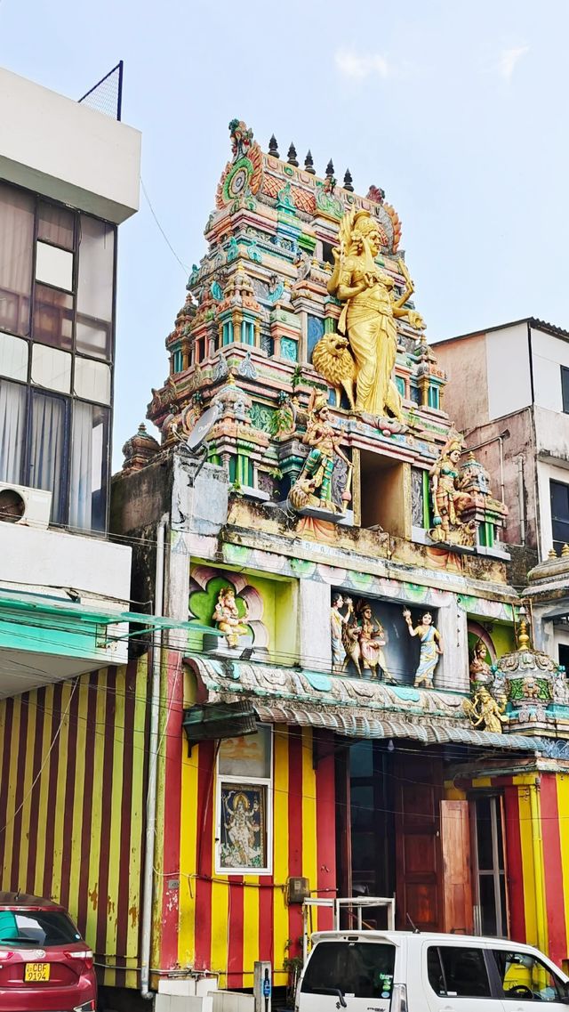 「斯里蘭卡：你從未見過的島嶼奇遇」，免簽國