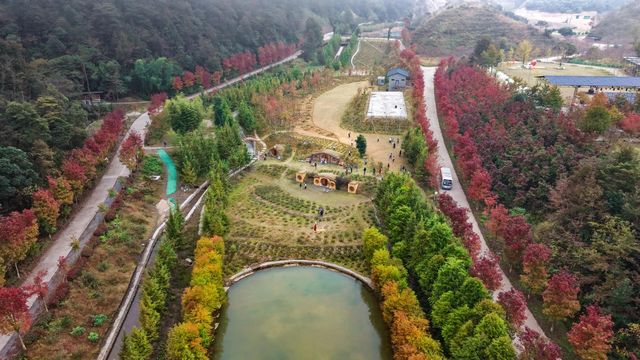 雲端之上的秋日童話秘境 雲端之上的秋日童話秘境