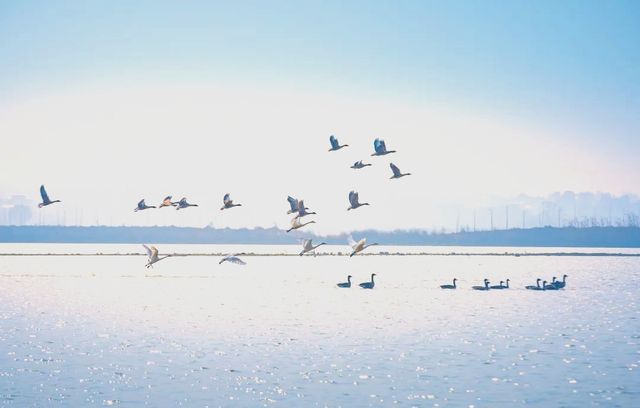 帶娃遊鄂州不踩雷 帶娃遊鄂州不踩雷