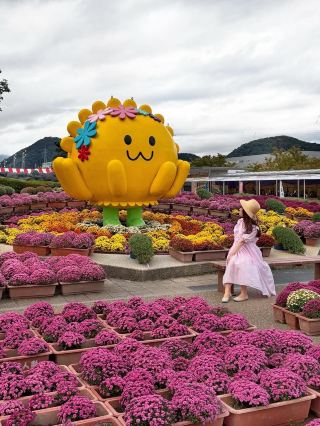 The Ultimate Chrysanthemum Viewing in Hokuriku! Fukui "Takefu Chrysanthemum Doll Festival" Autumn Limited Spectacular
