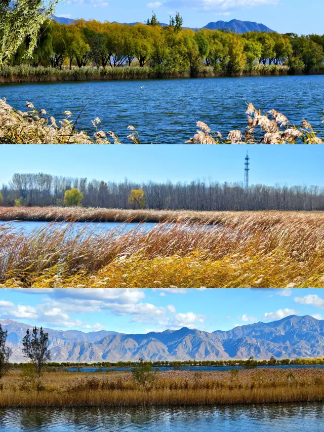 11.2 Wild Duck Lake Beijing 1.5h Direct Access to Autumn Wonderland