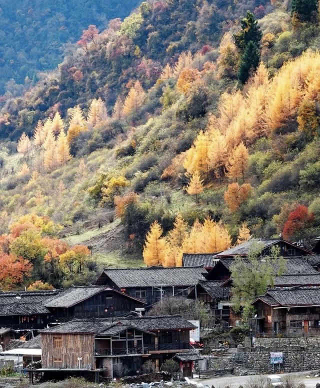 藏在川北的秘境！平武彩林+古寨+瀑布，5天承包深秋浪漫