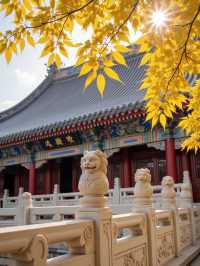 唔好再去擠九寨溝啦！我搵到一個藏喺甘肅天水嘅「隴上小九寨」！