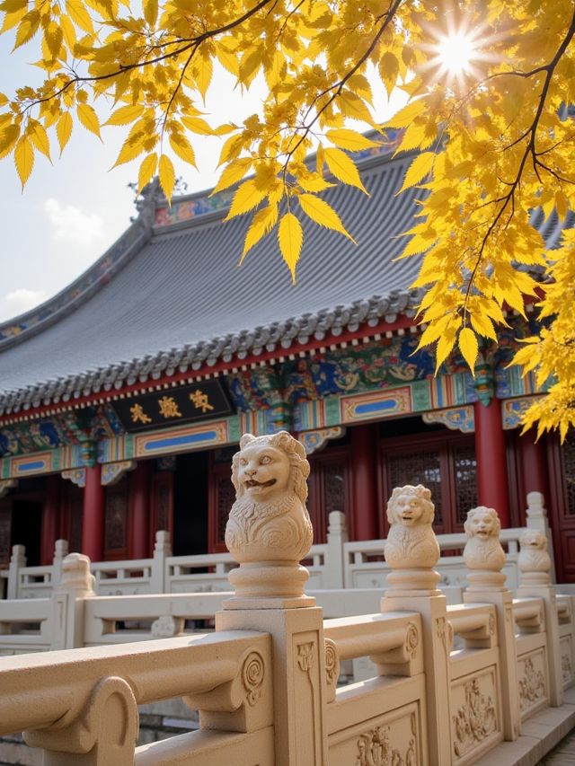 唔好再去擠九寨溝啦！我搵到一個藏喺甘肅天水嘅「隴上小九寨」！