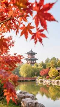 邯鄲最好的賞紅葉嘅幾個地方，唔嚟就錯過啦！