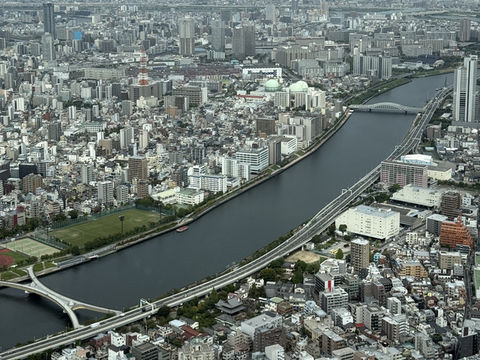 Disney themed Skytree! You can’t beat the views and the cuteness 🤩 👽  🗼 