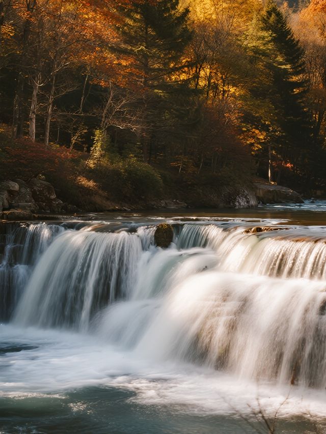 帶娃闖進紅葉童話！光霧山2天1晚超省心版