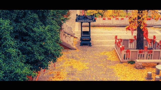 南京最禪意銀杏地毗盧寺私藏機位攻略