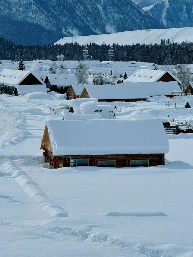 雪落人間，把世界裹成純白童話