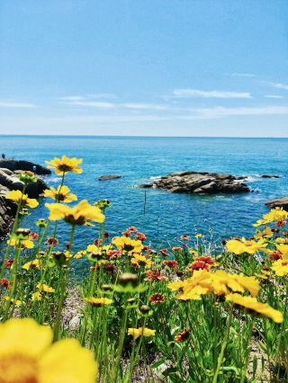 Stunning Huangdao Island Ring Road! Fewer people, great for photos, no crowds