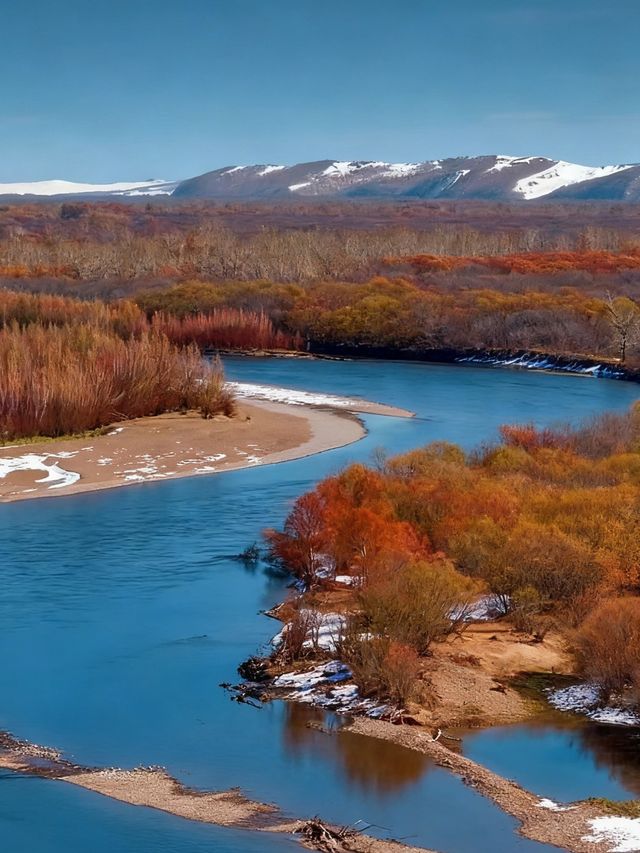 闖入大興安嶺的秋日童話|被金色白樺林治癒的一天 闖入大興安嶺的秋日童話|被金色白樺林治癒的一天