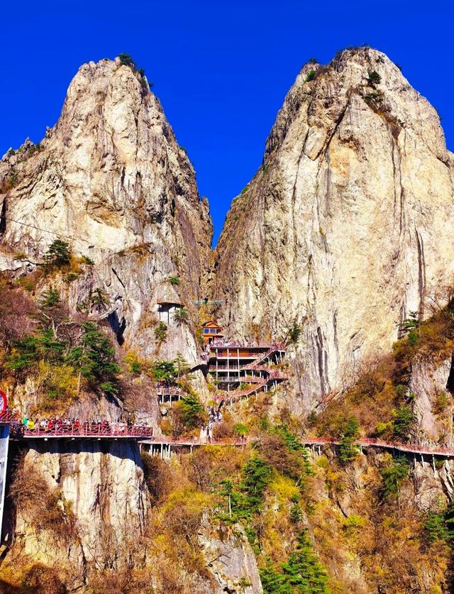 絕壁仙境全攻略