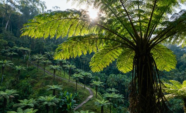 尋訪綠色明珠植物園 尋訪綠色明珠植物園