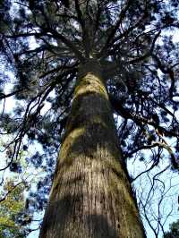 世界文化遺產——廬山