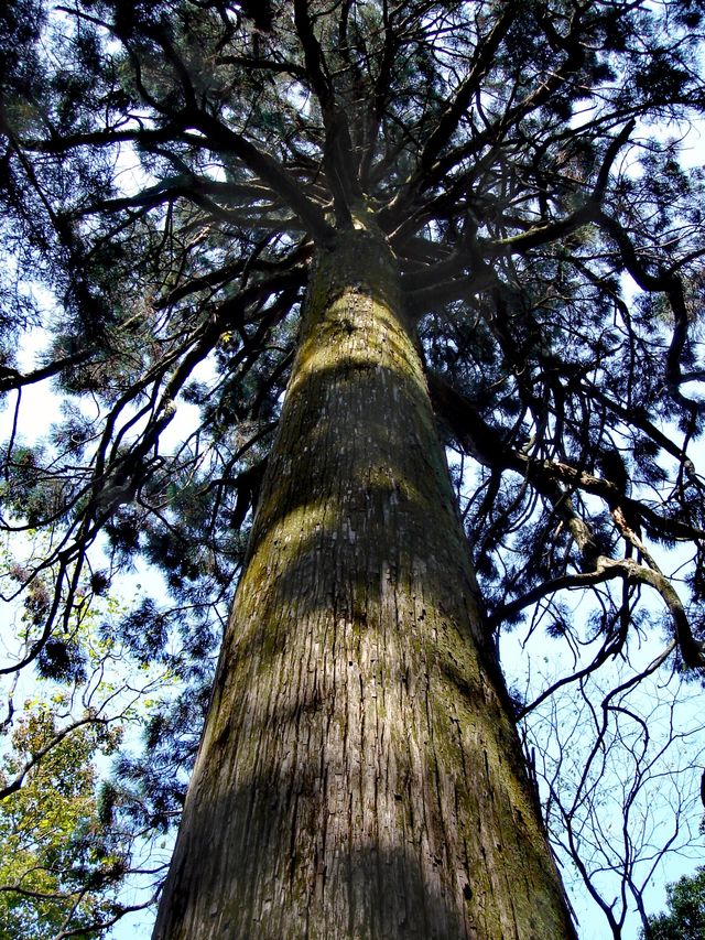 世界文化遺產——廬山