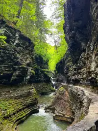 二遊紐約州Watkins Glen