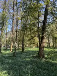 室外遛娃｜諸暨五泄 闖入秋葉世界