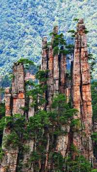 張家界 + 天門山 + 鳳凰古城 5 天 4 晚私人定製小包團（4-7 人）全程純玩無自費無購物 詳細行程與報價（不含餐）