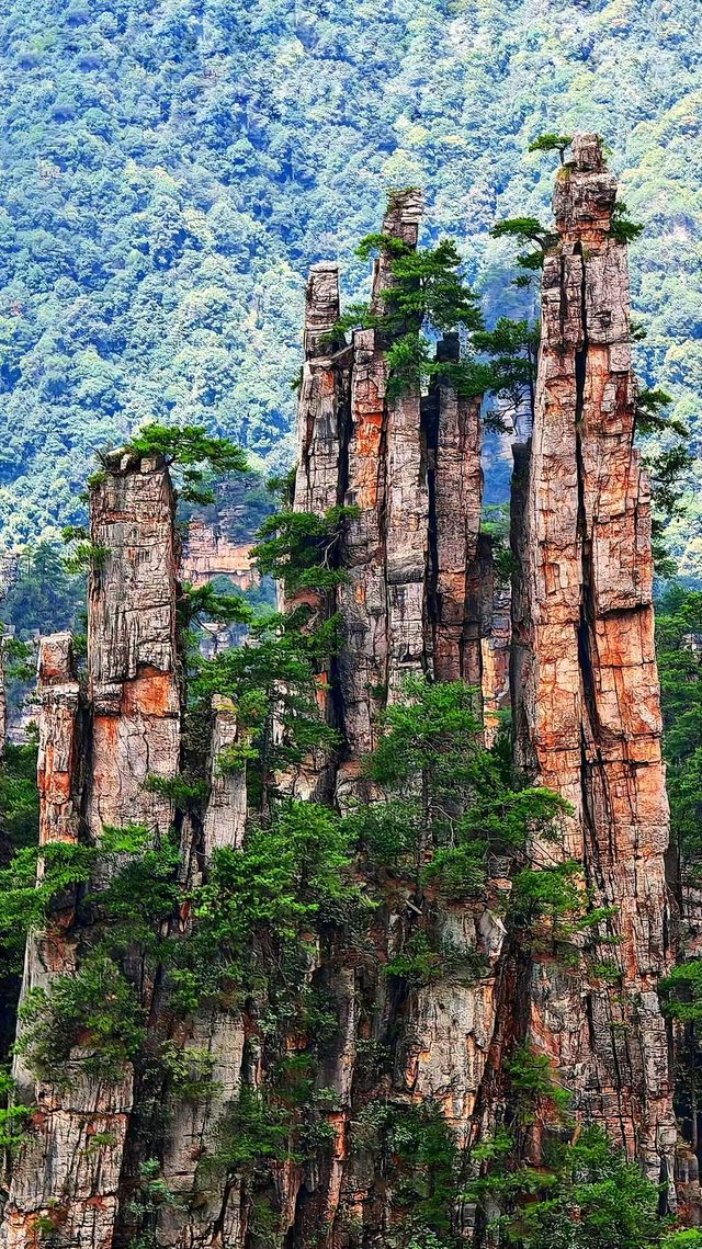 張家界 + 天門山 + 鳳凰古城 5 天 4 晚私人定製小包團（4-7 人）全程純玩無自費無購物 詳細行程與報價（不含餐）