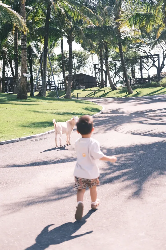 萬寧半日遊 | 打卡超適合小寶寶的牧場