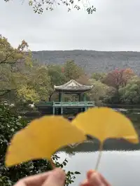 鐘山景區一日遊攻略 反方向路線避開人流