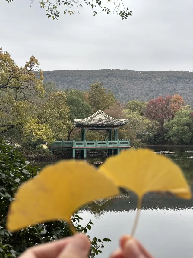 鐘山景區一日遊攻略 反方向路線避開人流