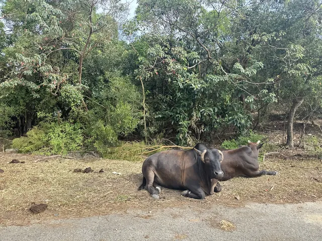 Hk麥理浩徑,絕美徒步路線 Hk麥理浩徑,絕美徒步路線