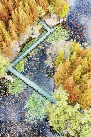 Yantai Early Winter Exclusive "Yuniao River Red" Photo Tips!