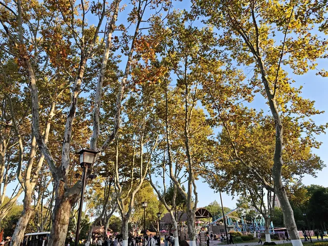 上海野生動物園的快樂 上海野生動物園的快樂