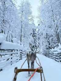 東北5日遊保姆級攻略玩轉冰雪